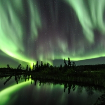A full sky of Northern Lights in the NW territory of Canada.